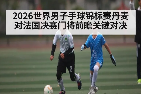 2026世界男子手球锦标赛丹麦对法国决赛门将前瞻关键对决