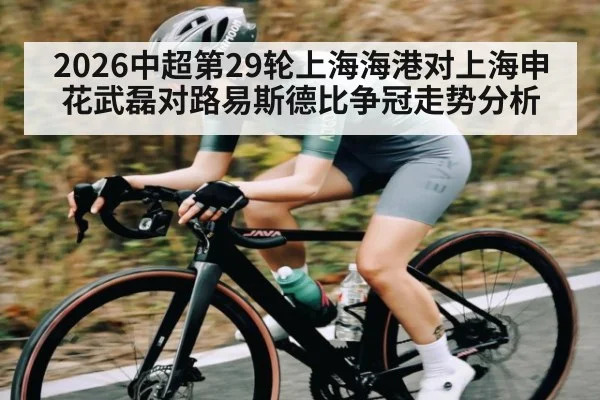 2026中超第29轮上海海港对上海申花武磊对路易斯德比争冠走势分析